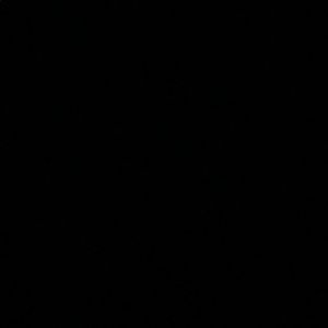 Meet your Posher, Hailey